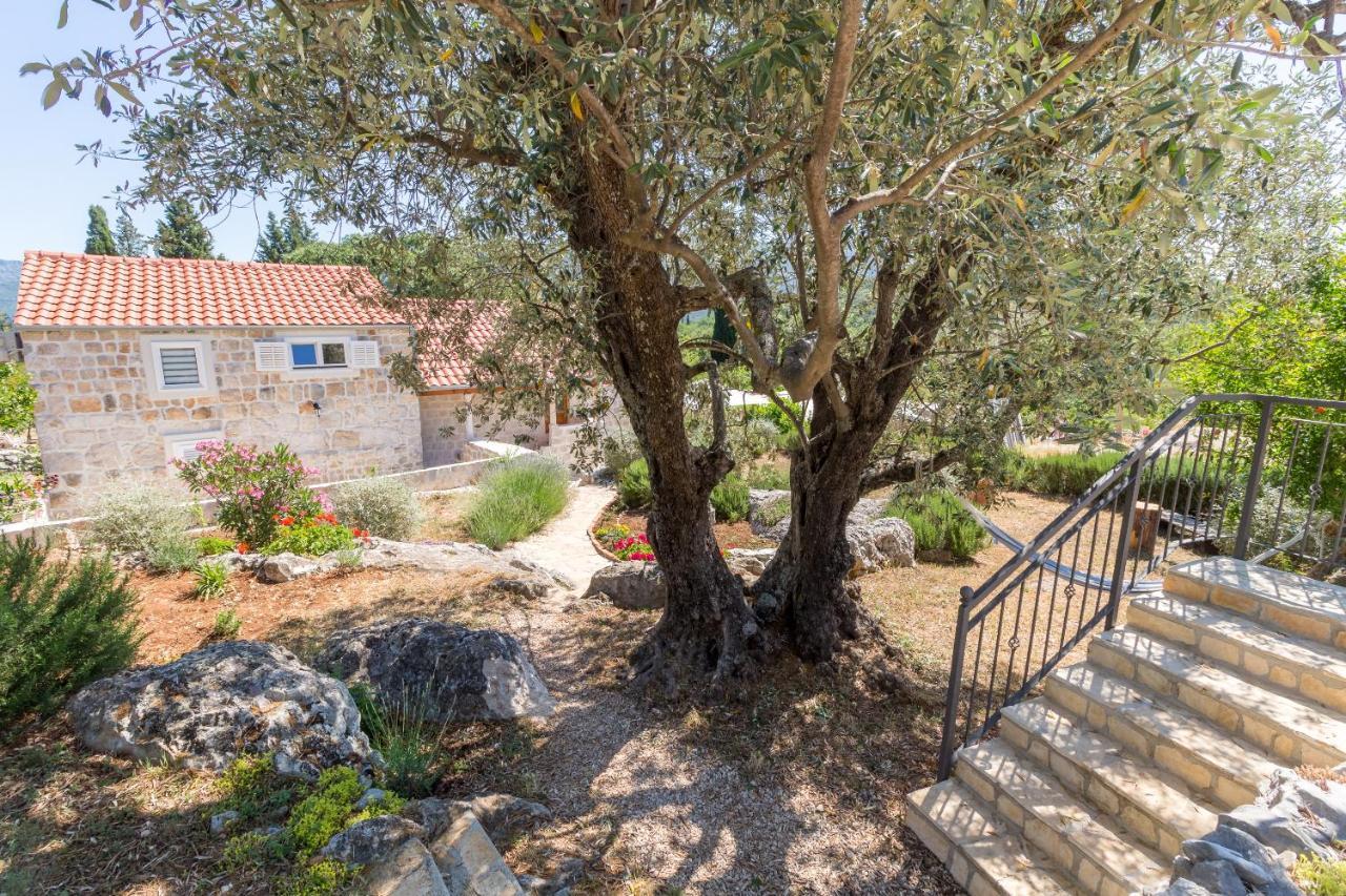 Апартаменти Olive Garden Стон Екстер'єр фото